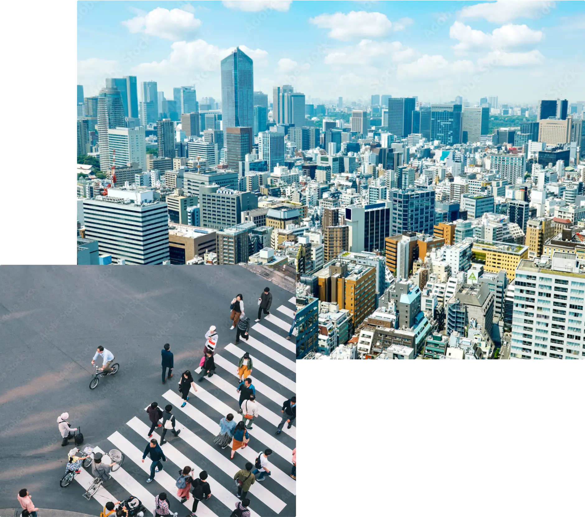 事業領域 建物